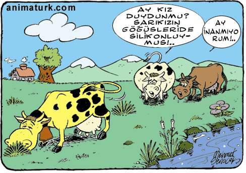 /karikaturler/3/123.jpg